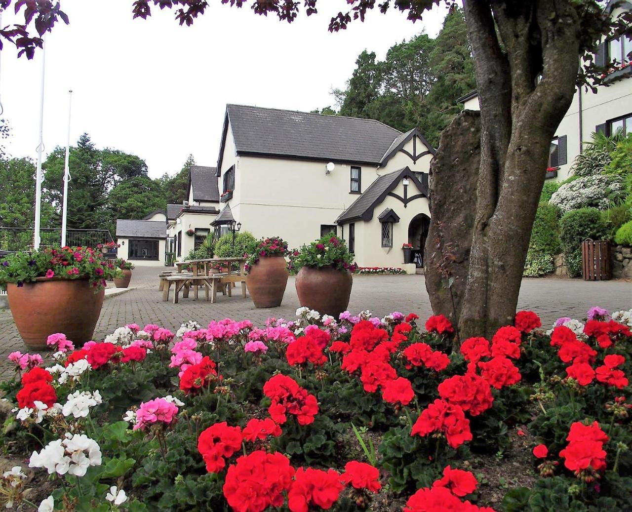 Aherlow House Hotel & Lodges Exterior foto