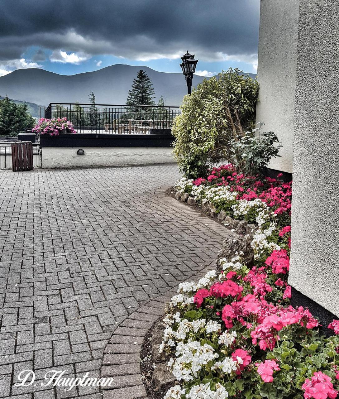 Aherlow House Hotel & Lodges Exterior foto